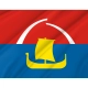 Vsevolozhsky District Flag for Indoor & Outdoor Use - Imagine 2