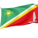 Zelenograd Flag for Indoor & Outdoor Use - Imagine 1