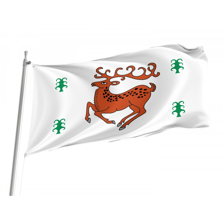 Flag Of Zilairsky Region, Patriotic Flags, Unique Design Print, Flags For Indoor & Outdoor Use - High Quality Russia for Indoor and Outdoor Use