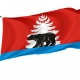 Ziminsky District Flag for Indoor & Outdoor Use - Imagine 1