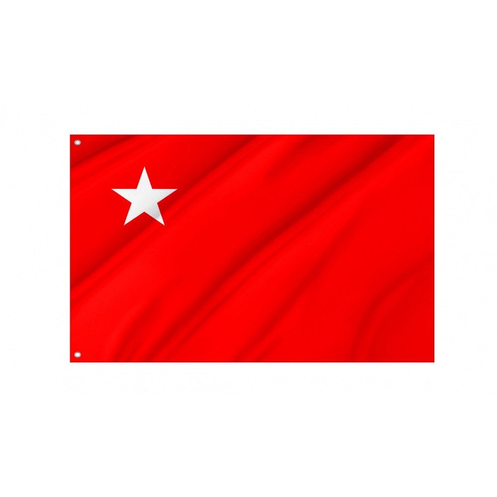 Victory Commemorative Flag Alternative Russia