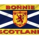 Bonnie Scotland Flag for Indoor & Outdoor Use - Imagine 2