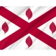 Dumbartonshire Flag for Indoor & Outdoor Use - Imagine 2