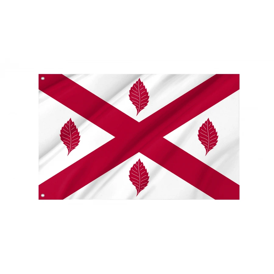 Dumbartonshire Flag for Indoor & Outdoor Use, SCT08