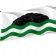 Girvan Flag for Indoor & Outdoor Use - Imagine 1
