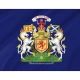Scotland Jacobite Standard 1715 Flag for Indoor & Outdoor Use - Imagine 2