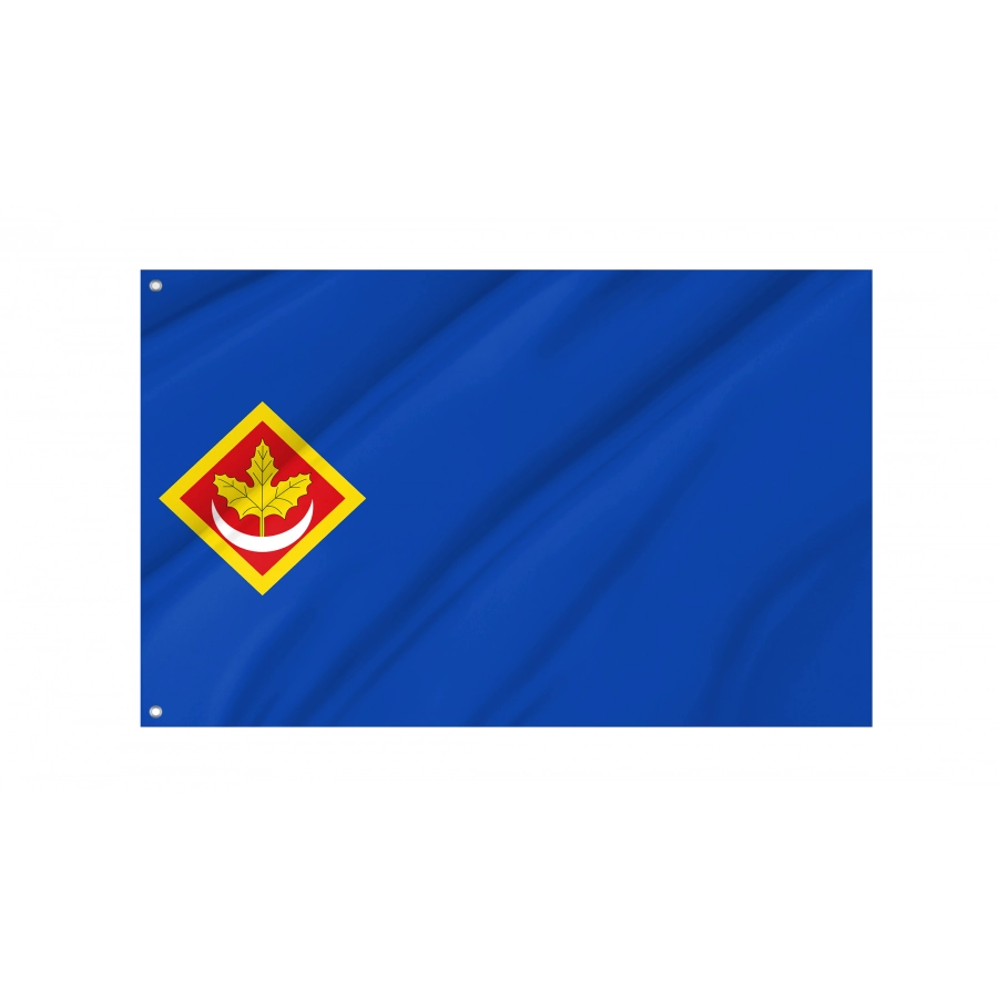 Flag Of Alarba, Zaragoza, Patriotic Flags, Unique Design Print, Flags For Indoor & Outdoor Use - High Quality Aragon for Indoor and Outdoor Use