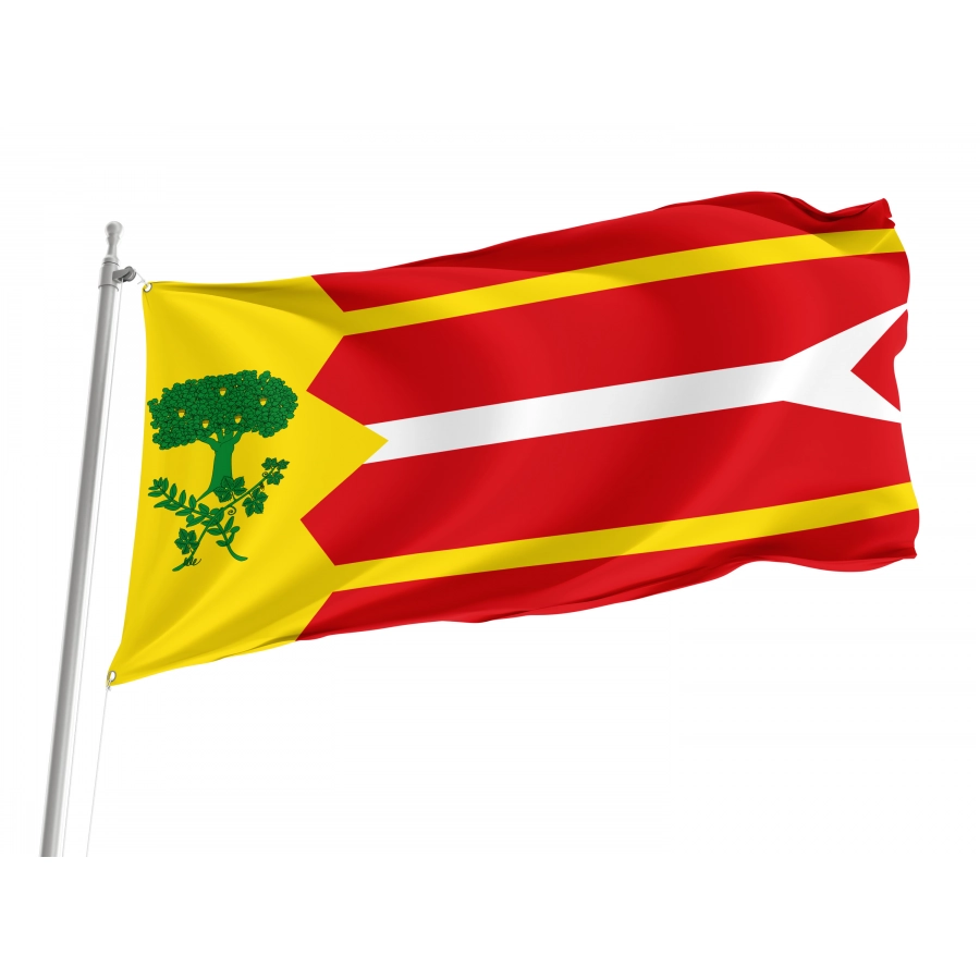 Flag Of Alpartir, Zaragoza, Patriotic Flags, Unique Design Print, Flags For Indoor & Outdoor Use - High Quality Aragon for Indoor and Outdoor Use