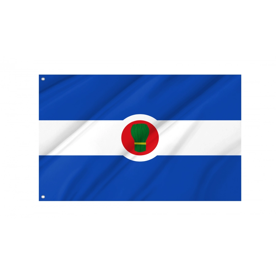 Flag Of Bagüés, Zaragoza, Patriotic Flags, Unique Design Print, Flags For Indoor & Outdoor Use - High Quality Aragon for Indoor and Outdoor Use