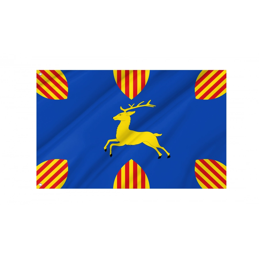 Flag Of Cerveruela, Zaragoza, Patriotic Flags, Unique Design Print, Flags For Indoor & Outdoor Use - High Quality Aragon for Indoor and Outdoor Use