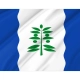 Cinco Olivas Flag for Indoor & Outdoor Use - Imagine 2