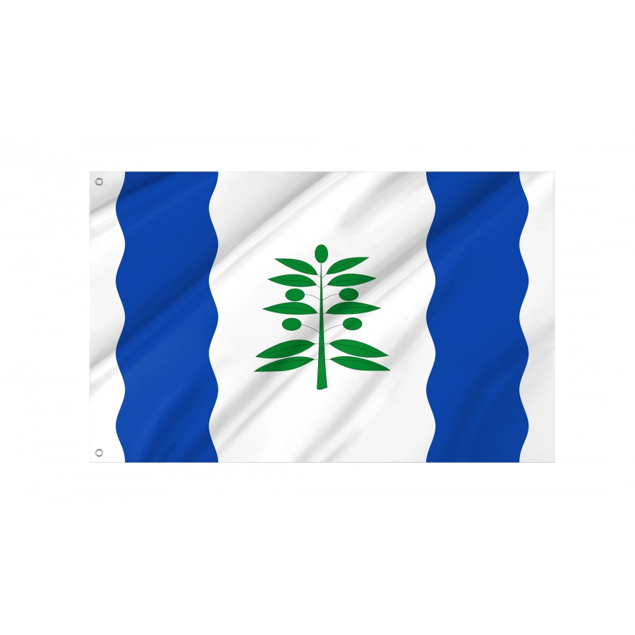 Flag Of Cinco Olivas, Zaragoza, Patriotic Flags, Unique Design Print, Flags For Indoor & Outdoor Use - High Quality Aragon for Indoor and Outdoor Use