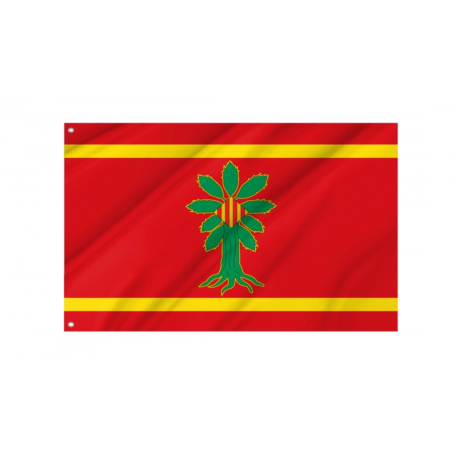 Flag Of Vistabella, Zaragoza, Spain, Patriotic Flags, Unique Design Print, Flags For Indoor & Outdoor Use - High Quality Aragon for Indoor and Outdoor Use
