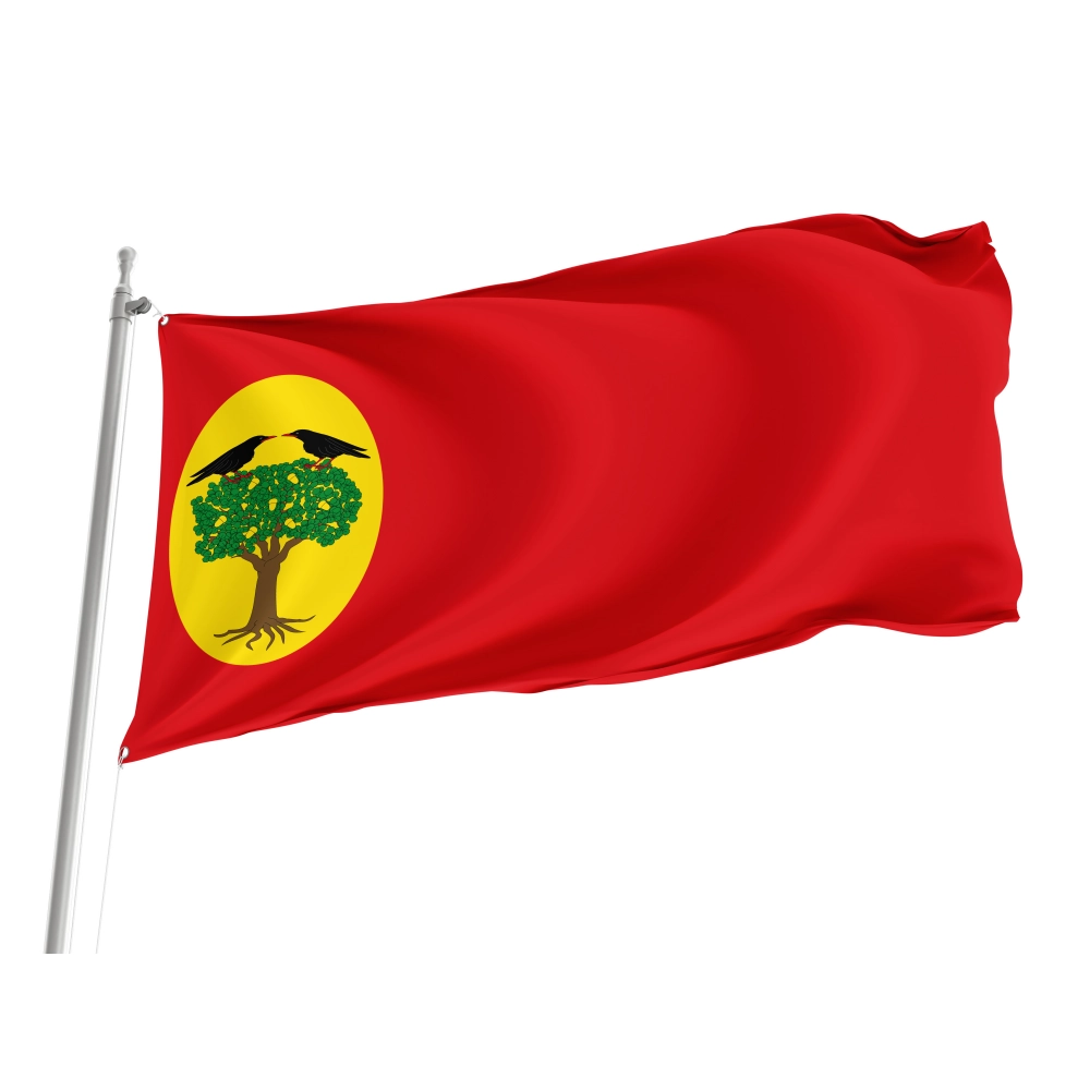 Leciñena Flag for Indoor & Outdoor Use