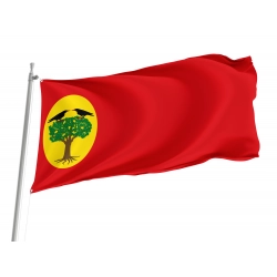 Leciñena Flag for Indoor & Outdoor Use