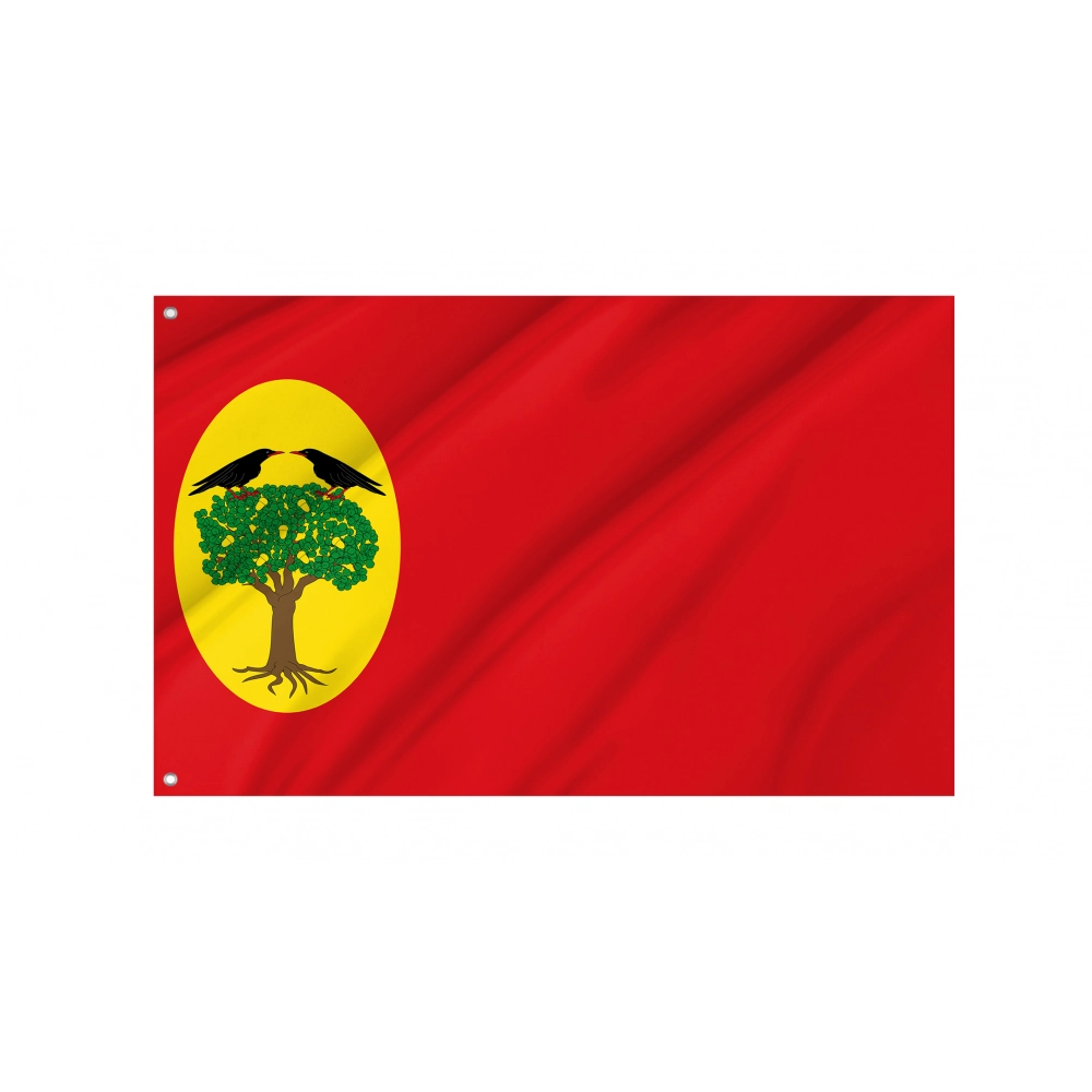 Leciñena Flag for Indoor & Outdoor Use