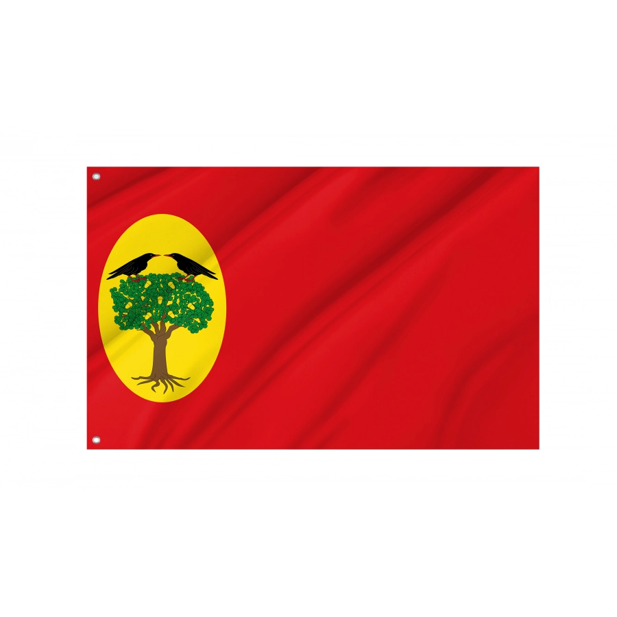 Flag Of Leciñena, Zaragoza, Patriotic Flags, Unique Design Print, Flags For Indoor & Outdoor Use - High Quality Aragon for Indoor and Outdoor Use