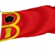 Torrelapaja Flag for Indoor & Outdoor Use - Imagine 1