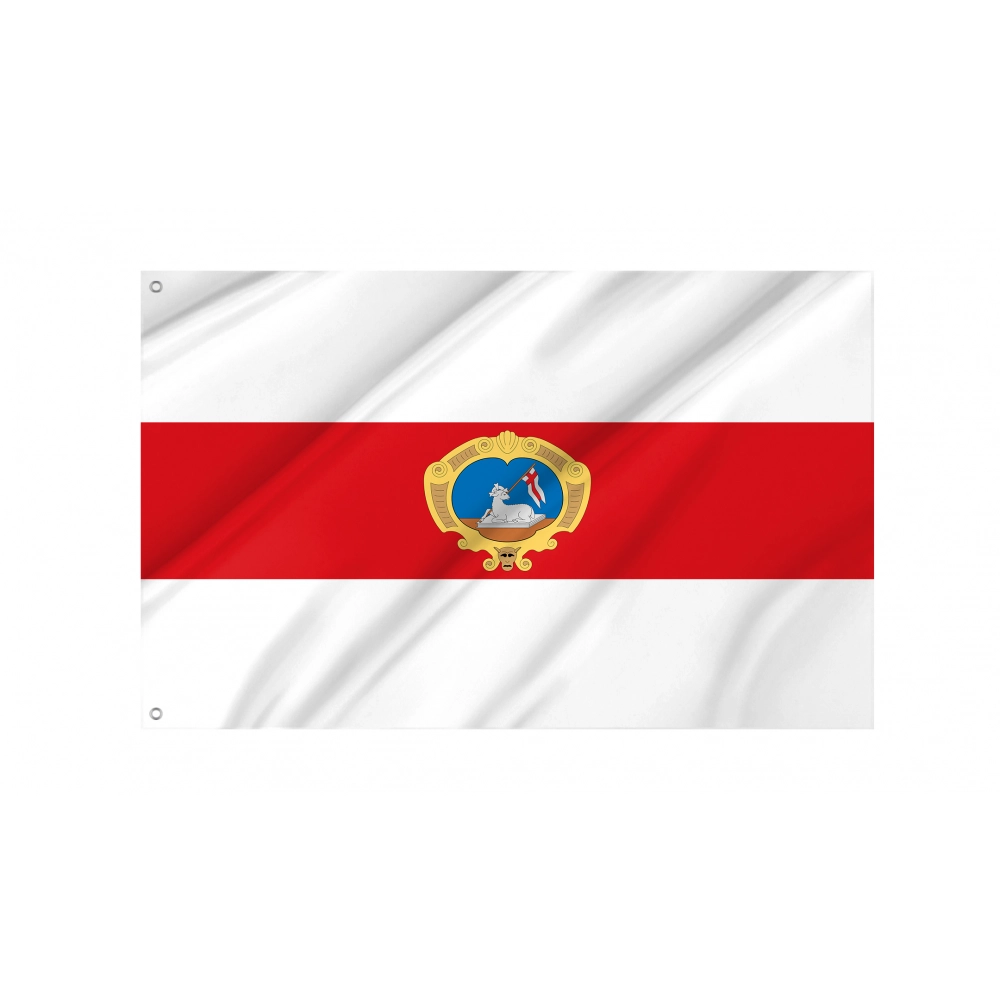 Sant Joan Flag for Indoor & Outdoor Use