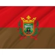 Burgos City Flag for Indoor & Outdoor Use - Imagine 2