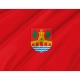 Covarrubias Flag for Indoor & Outdoor Use - Imagine 2