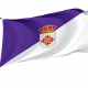 Daimiel Flag for Indoor & Outdoor Use - Imagine 1