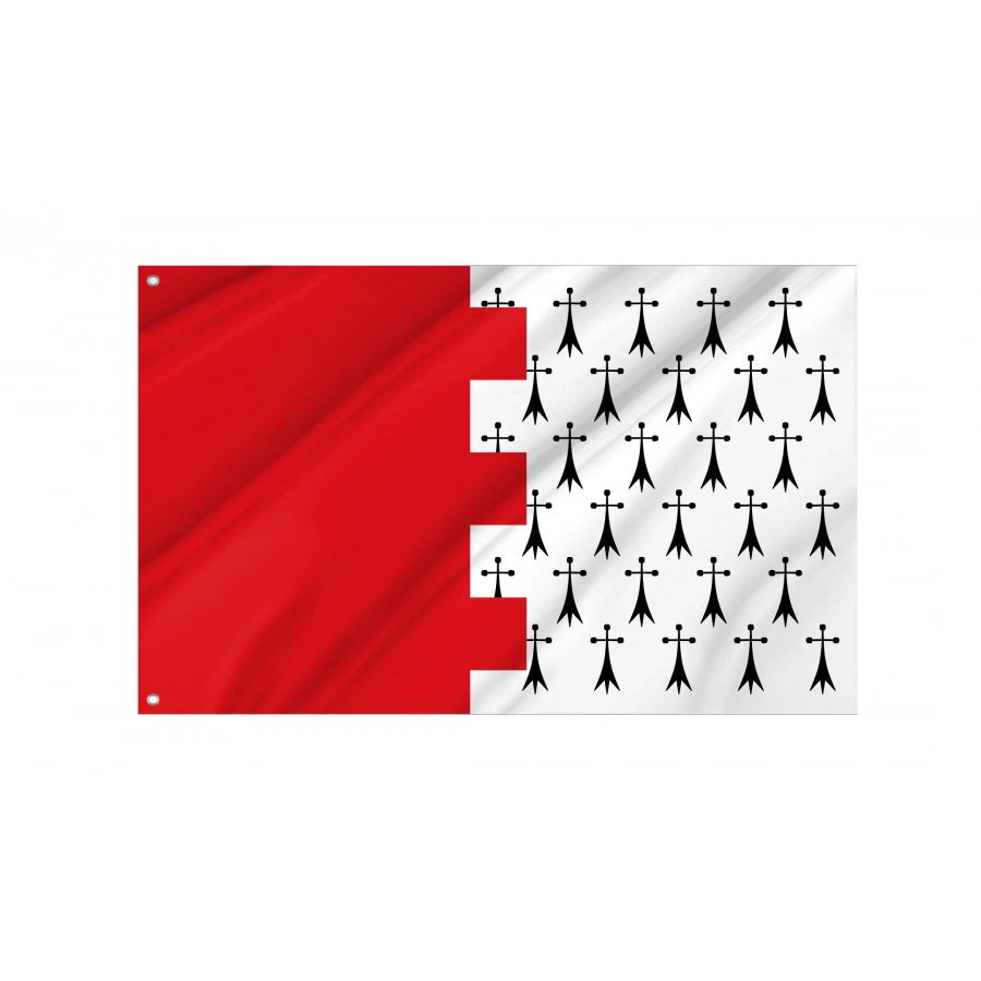 Flag Of Almanza, León, Patriotic Flags, Unique Design Print, Flags For Indoor & Outdoor Use - High Quality Castile and Leon for Indoor and Outdoor Use