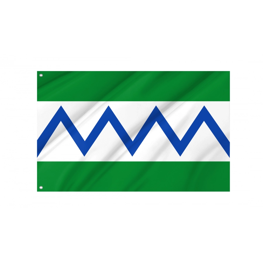 Flag Of Barjas, León, Patriotic Flags, Unique Design Print, Flags For Indoor & Outdoor Use - High Quality Castile and Leon for Indoor and Outdoor Use