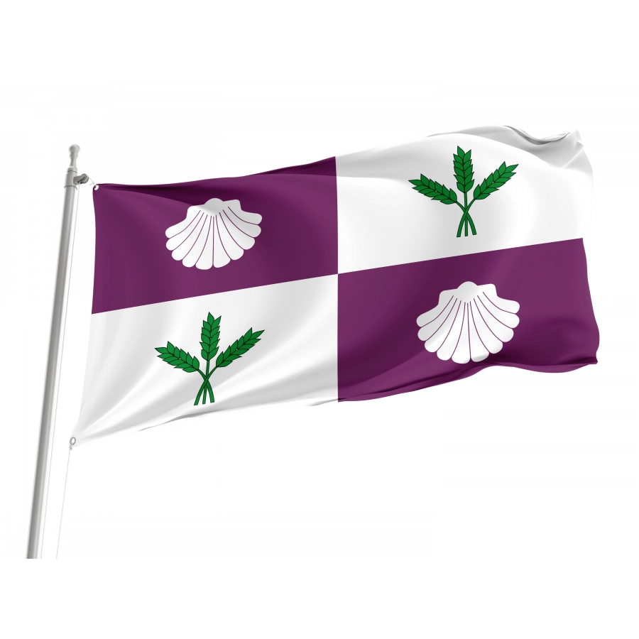 Flag Of El Burgo Ranero, León, Patriotic Flags, Unique Design Print, Flags For Indoor & Outdoor Use - High Quality Castile and Leon for Indoor and Outdoor Use