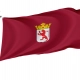 Province of León Flag for Indoor & Outdoor Use - Imagine 1