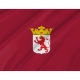 Province of León Flag for Indoor & Outdoor Use - Imagine 2