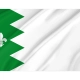 Puebla de Lillo Flag for Indoor & Outdoor Use - Imagine 2