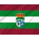 Valdelugueros Flag for Indoor & Outdoor Use - Imagine 2