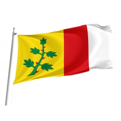 Espinosa de Villagonzalo Flag for Indoor & Outdoor Use