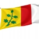 Espinosa de Villagonzalo Flag for Indoor & Outdoor Use - Imagine 1