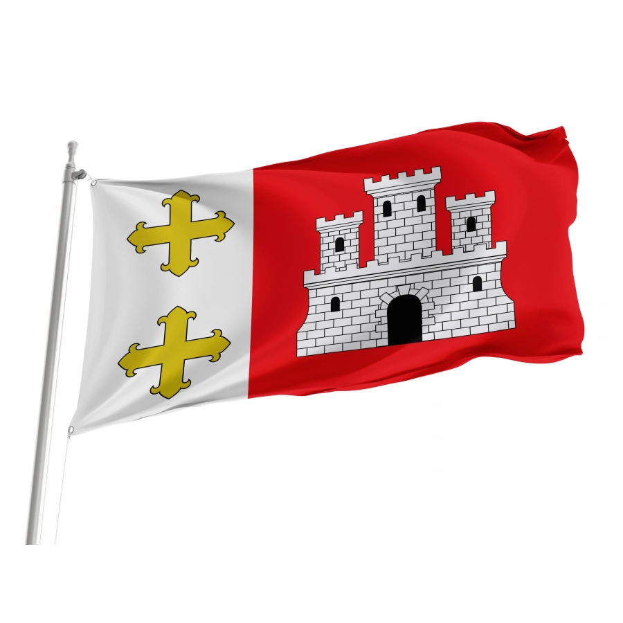 Flag Of Magaz De Pisuerga, Palencia Province, Spain, Patriotic Flags, Unique Design Print, Flags For Indoor & Outdoor Use - High Quality Castile and Leon for Indoor and Outdoor Use