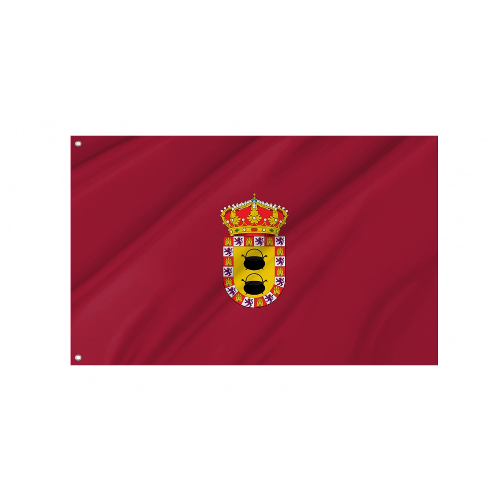 Paredes de Nava Flag for Indoor & Outdoor Use
