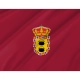 Paredes de Nava Flag for Indoor & Outdoor Use - Imagine 2