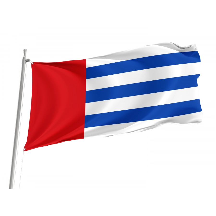 Flag Of Villaviudas, Palencia, Patriotic Flags, Unique Design Print, Flags For Indoor & Outdoor Use - High Quality Castile and Leon for Indoor and Outdoor Use