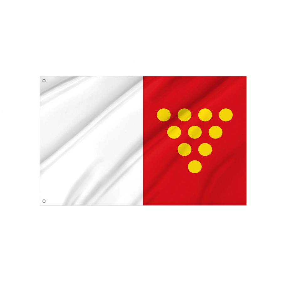 Flag Of Cotanes Del Monte, Zamora, Patriotic Flags, Unique Design Print, Flags For Indoor & Outdoor Use - High Quality Castile and Leon for Indoor and Outdoor Use