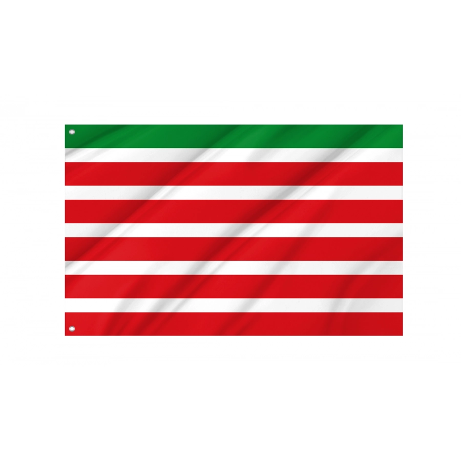 Flag Of Trabazos, Zamora, Patriotic Flags, Unique Design Print, Flags For Indoor & Outdoor Use - High Quality Castile and Leon for Indoor and Outdoor Use