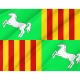 Parets del Vallès Flag for Indoor & Outdoor Use - Imagine 2