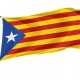 Estelada Flag for Indoor & Outdoor Use - Imagine 1