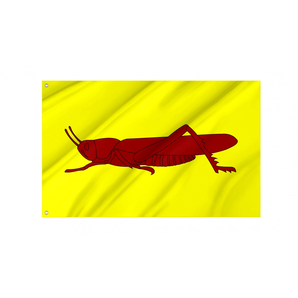 La Llagosta Flag for Indoor & Outdoor Use