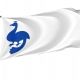 Pau Flag for Indoor & Outdoor Use - Imagine 1