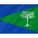 Aliseda Flag for Indoor & Outdoor Use - Imagine 2