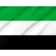 Extremadura Flag for Indoor & Outdoor Use - Imagine 2