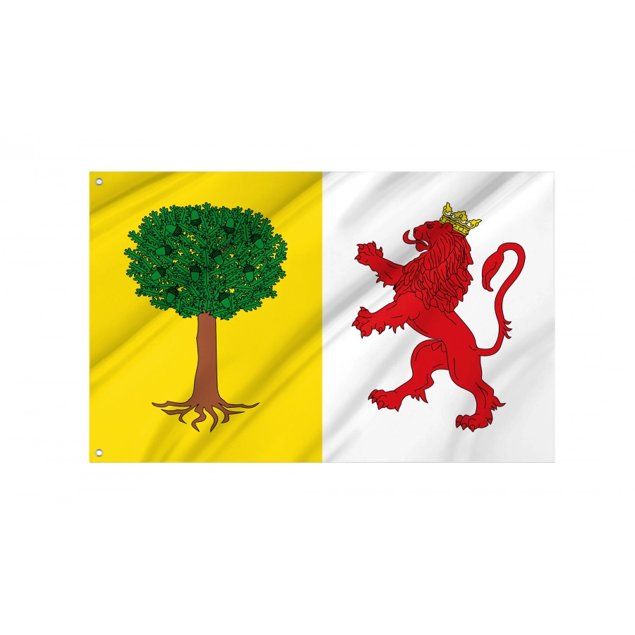 Cabezuela del Valle Flag for Indoor & Outdoor Use - Shopflagworld Flag Of Cabezuela Del Valle, Patriotic Flags, Unique Design Print, Flags For Indoor & Outdoor Use - High Quality Extremadura for Indoor and Outdoor Use