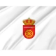 Alía Flag for Indoor & Outdoor Use - Imagine 2