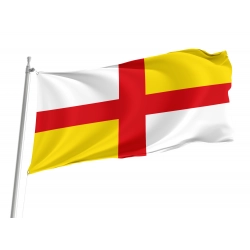 Puebla de la Reina Flag for Indoor & Outdoor Use